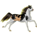 Reitpferd Trakehner Apfelschimmel