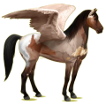 Pegasus-Reitpferd Mustang Roan