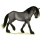Pony Haflinger Dunkelfuchs mit heller Mähne