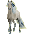Reitpferd Araber Mausgrau