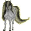 Pony Deutsches Reitpony Fuchs