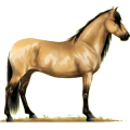 Pony Deutsches Reitpony Roan
