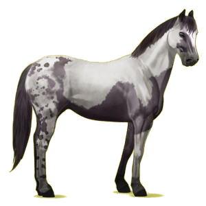 Pegasus-Reitpferd Paint Horse Dunkelfuchs mit Tobiano-Scheckung