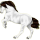 Reitpferd Camargue-Pferd Hellgrau
