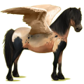 Pegasus-Pony Neufundland Pony Falbe