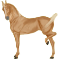 Reitpferd Andalusier Rotbrauner