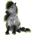 Pony Rotbrauner