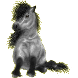 Pony Quarter Pony Apfelschimmel