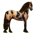 Pegasus-Reitpferd Friese Rappe