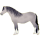 Pony Haflinger Fuchs mit heller Mähne