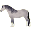 Pony Deutsches Reitpony Dunkelfuchs