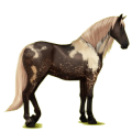 Reitpferd Andalusier Falbe