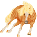 Pony Haflinger Fuchs mit heller Mähne
