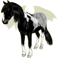 Pegasus-Reitpferd Araber Apfelschimmel
