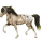 Reitpferd Mustang Falbe