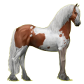 Reitpferd Friese Rappe