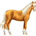 Pony Neufundland Pony Hellgrau