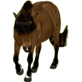 Pony Haflinger Fuchs mit heller Mähne