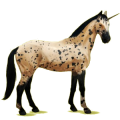 Einhorn-Reitpferd Oldenburger Rotbrauner
