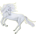Pegasus-Reitpferd Friese Rappe