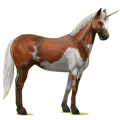 Einhorn-Reitpferd Paint Horse Rappe mit Overo-Scheckung