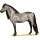Pony Belgisches Reitpony Apfelschimmel