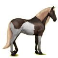 Reitpferd Hellgrau