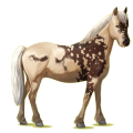 Pony Haflinger Fuchs mit heller Mähne
