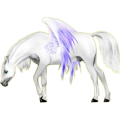 Pegasus-Pony Neufundland Pony Dunkelbrauner