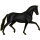 Reitpferd Deutsches Reitpferd Rappe
