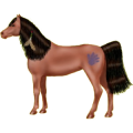 Reitpferd Andalusier Hellgrau