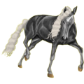 Einhorn-Pony Deutsches Reitpony Fuchs