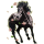 Reitpferd Araber Dunkelfuchs