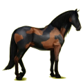 Reitpferd Andalusier Rappe