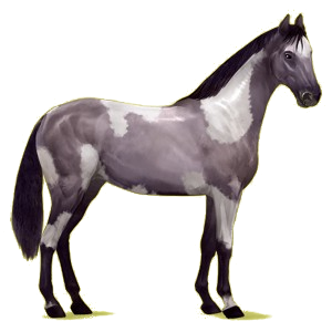 Reitpferd Hannoveraner Fuchs
