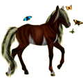Pony Neufundland Pony Falbe