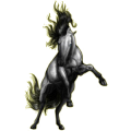 Reitpferd Araber Apfelschimmel