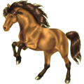 Pony Norweger Braunfalben