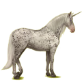 Einhorn-Reitpferd Andalusier Apfelschimmel
