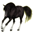 Pegasus-Reitpferd Andalusier Rappe
