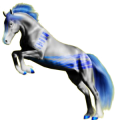 Reitpferd Araber Mausgrau