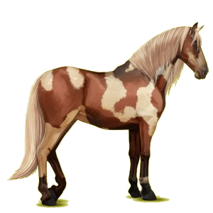 Reitpferd Andalusier Hellgrau