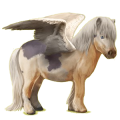 Pegasus-Pony Shetlandpony Fuchs