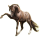 Reitpferd Araber Fuchs