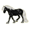 Pony Deutsches Reitpony Strawberry Roan
