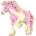 Reitpferd Araber Forellenschimmel