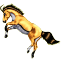 Einhorn-Reitpferd Araber Roan