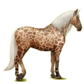 Pegasus-Reitpferd Lipizzaner Dunkelbrauner
