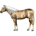 Pony Quarter Pony Cremello