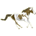 Reitpferd Tinker Mausgrau